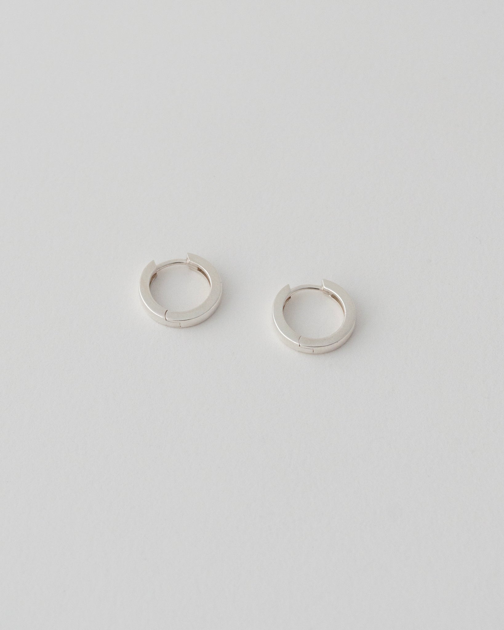 HINGE HOOPS