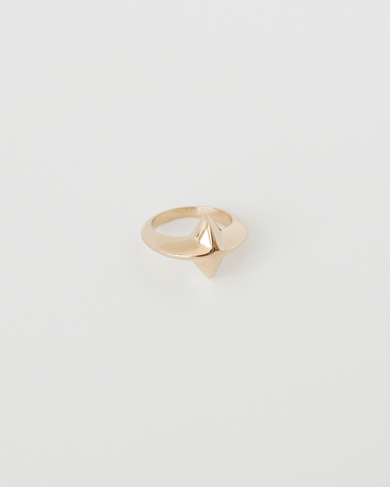 ORBIT RING | DISCONTINUED
